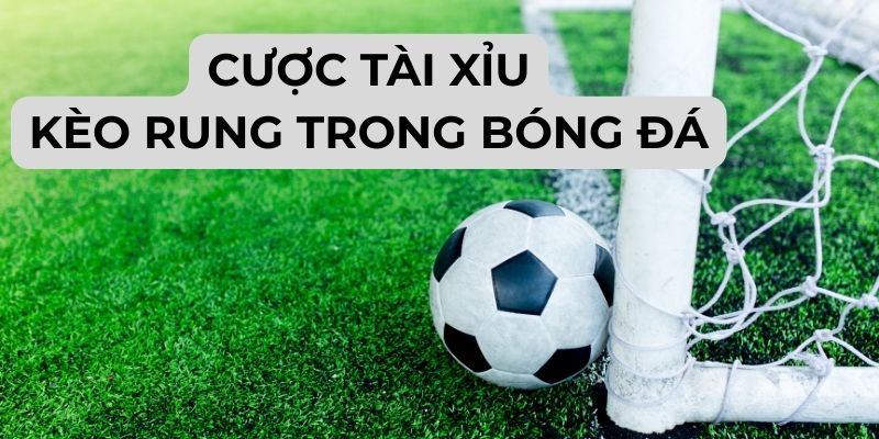 Cược tài xỉu kèo rung trong bóng đá